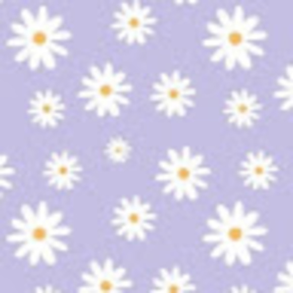 Meet your Posher, Iris - Picture 1 of 1